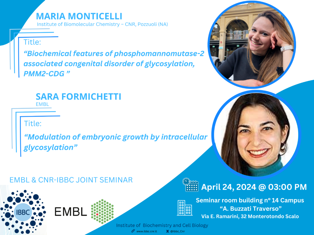 Biochemical features of phosphomannomutase-2 associated congenital disorder of glycosylation, PMM2-CDG