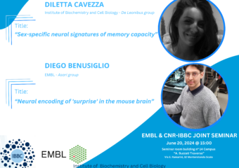 Joint IBBC-CNR and EMBL seminars